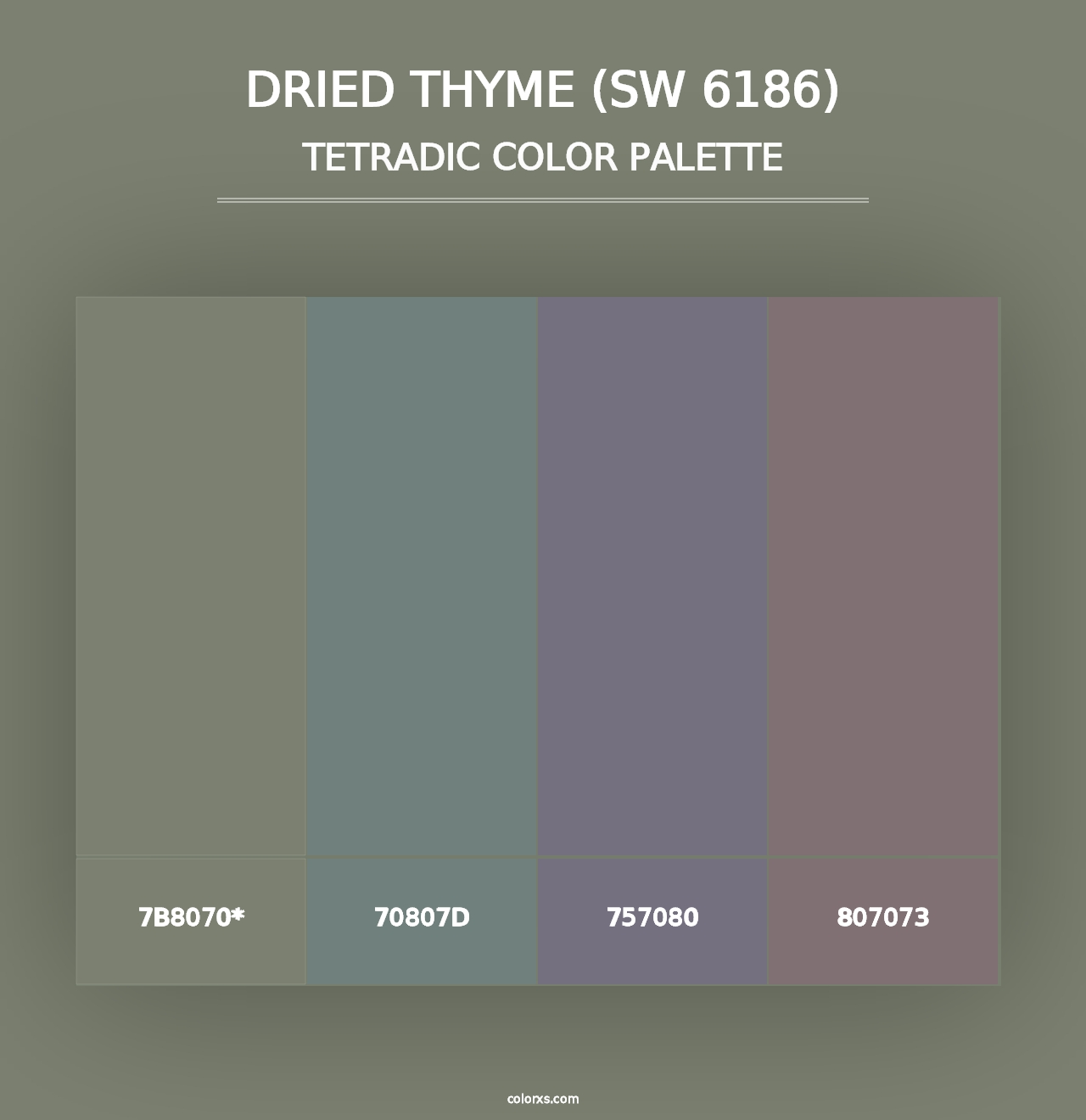 Dried Thyme (SW 6186) - Tetradic Color Palette