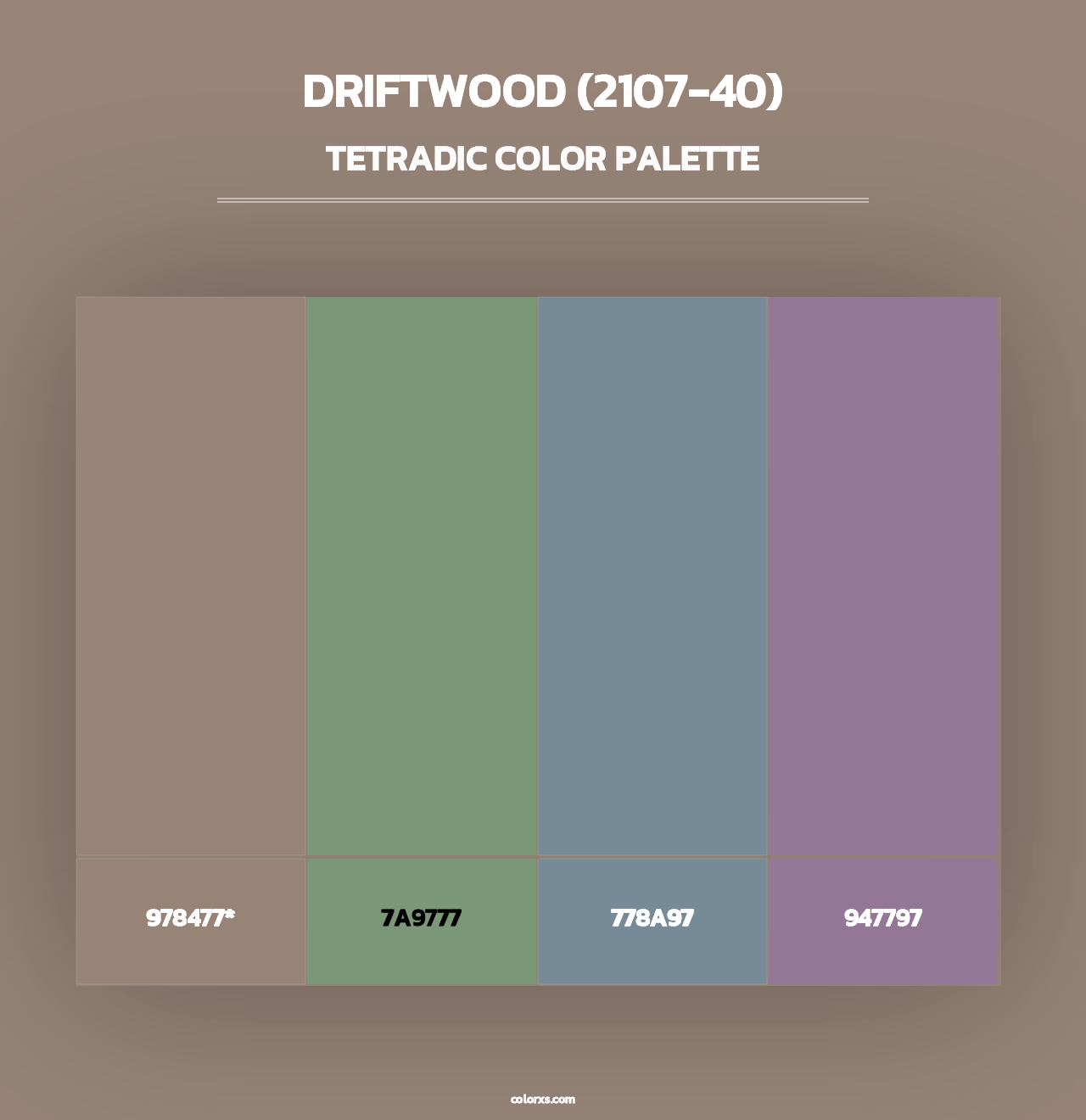 Driftwood (2107-40) - Tetradic Color Palette