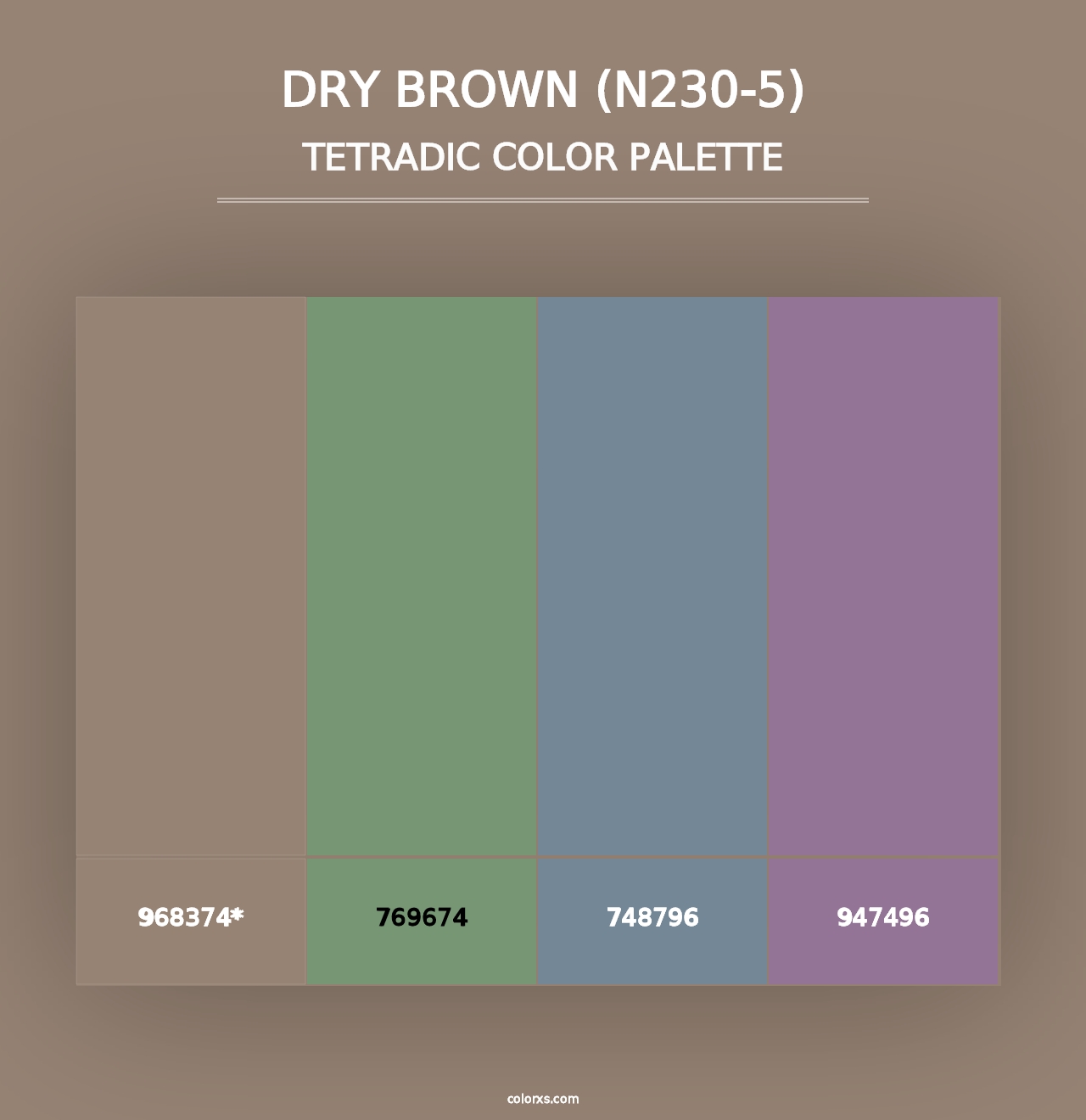 Dry Brown (N230-5) - Tetradic Color Palette