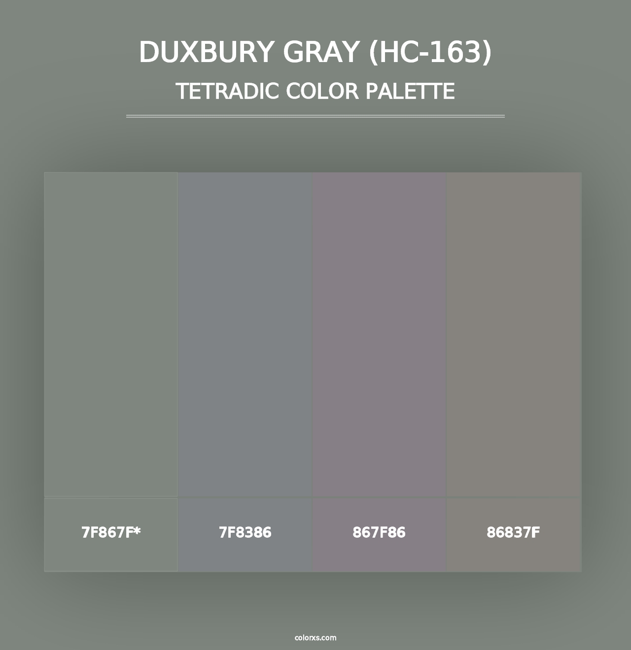 Duxbury Gray (HC-163) - Tetradic Color Palette