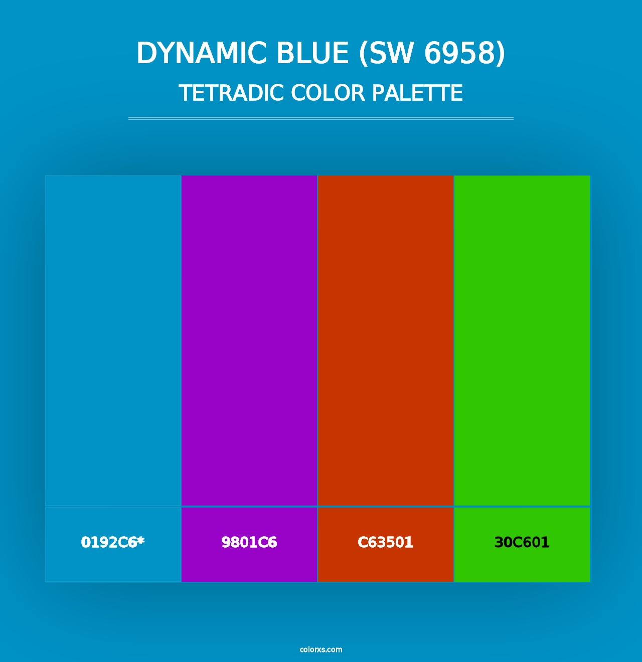 Dynamic Blue (SW 6958) - Tetradic Color Palette