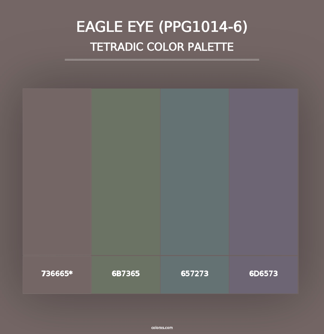 Eagle Eye (PPG1014-6) - Tetradic Color Palette