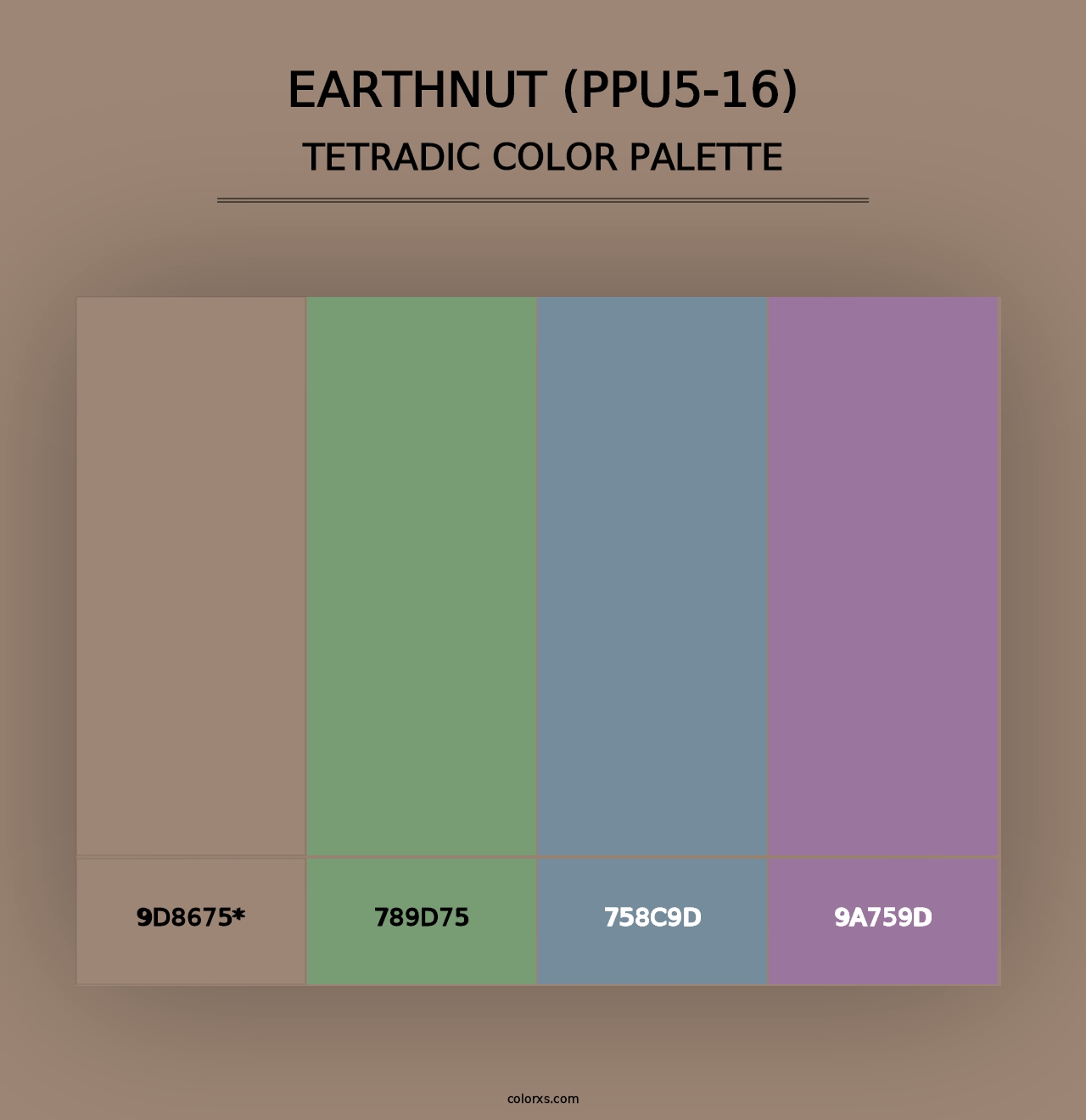 Earthnut (PPU5-16) - Tetradic Color Palette