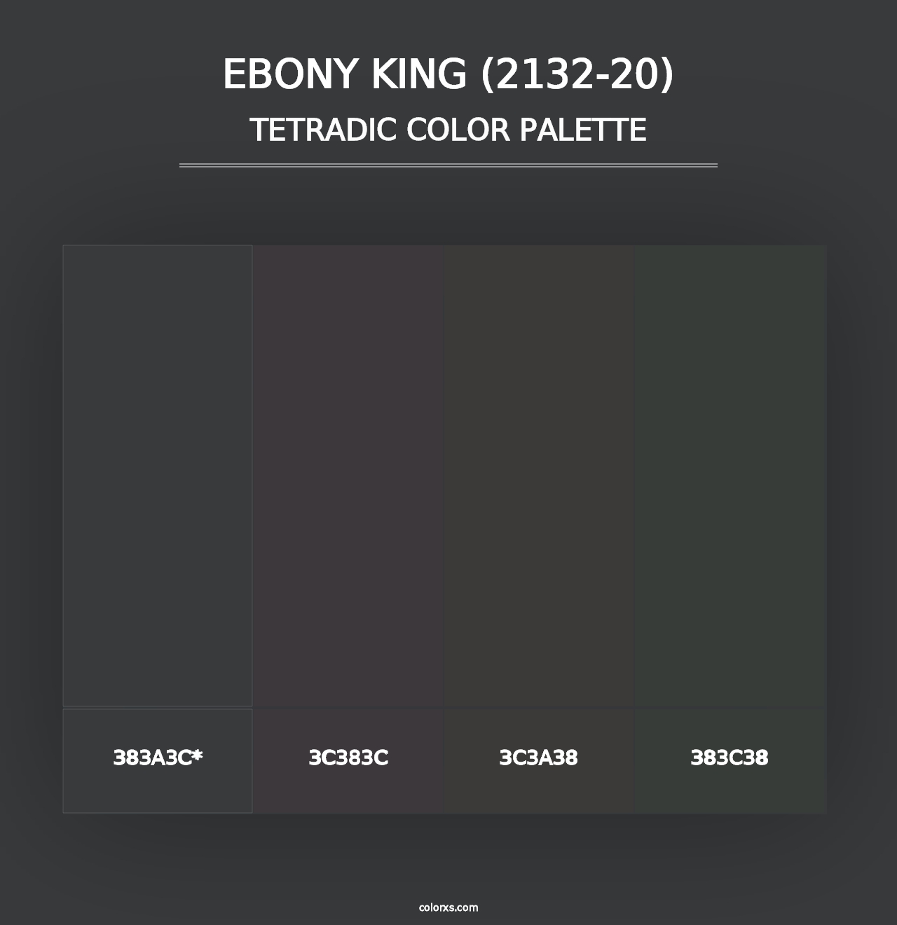 Ebony King (2132-20) - Tetradic Color Palette