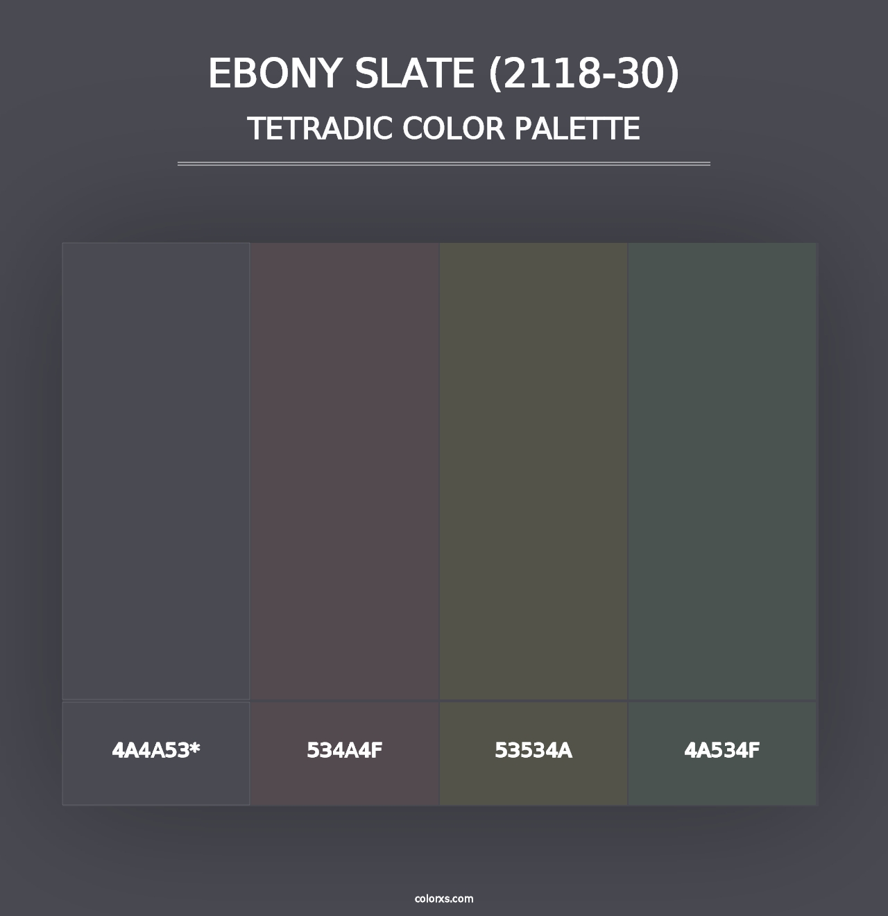 Ebony Slate (2118-30) - Tetradic Color Palette