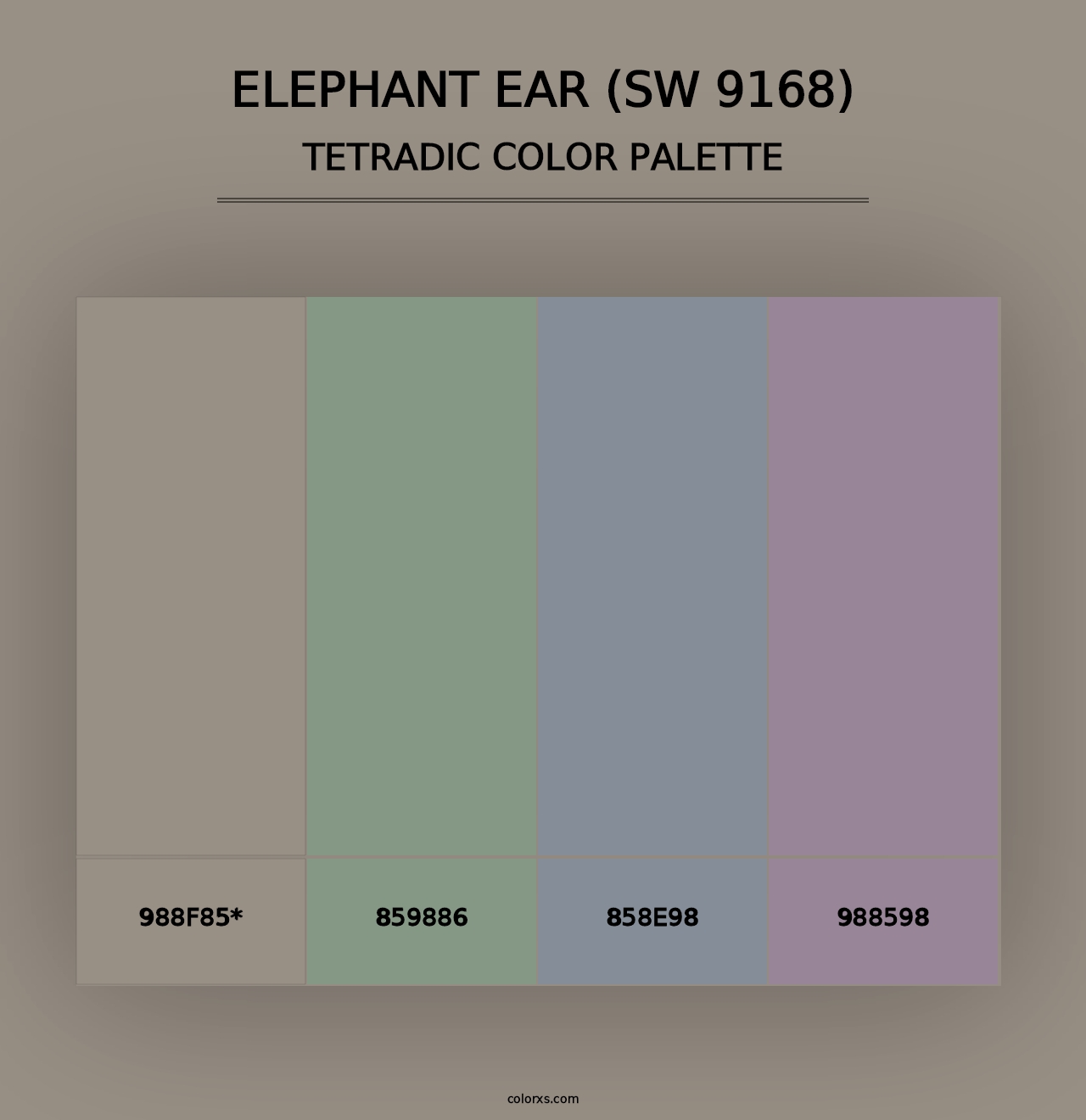 Elephant Ear (SW 9168) - Tetradic Color Palette