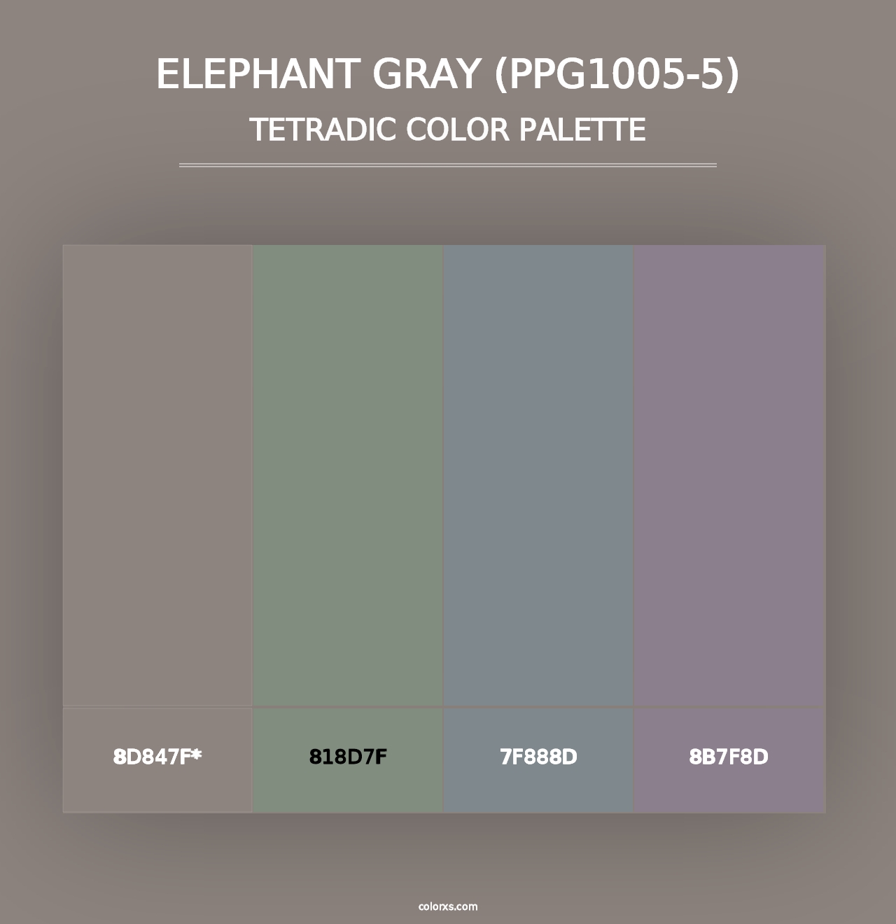 Elephant Gray (PPG1005-5) - Tetradic Color Palette