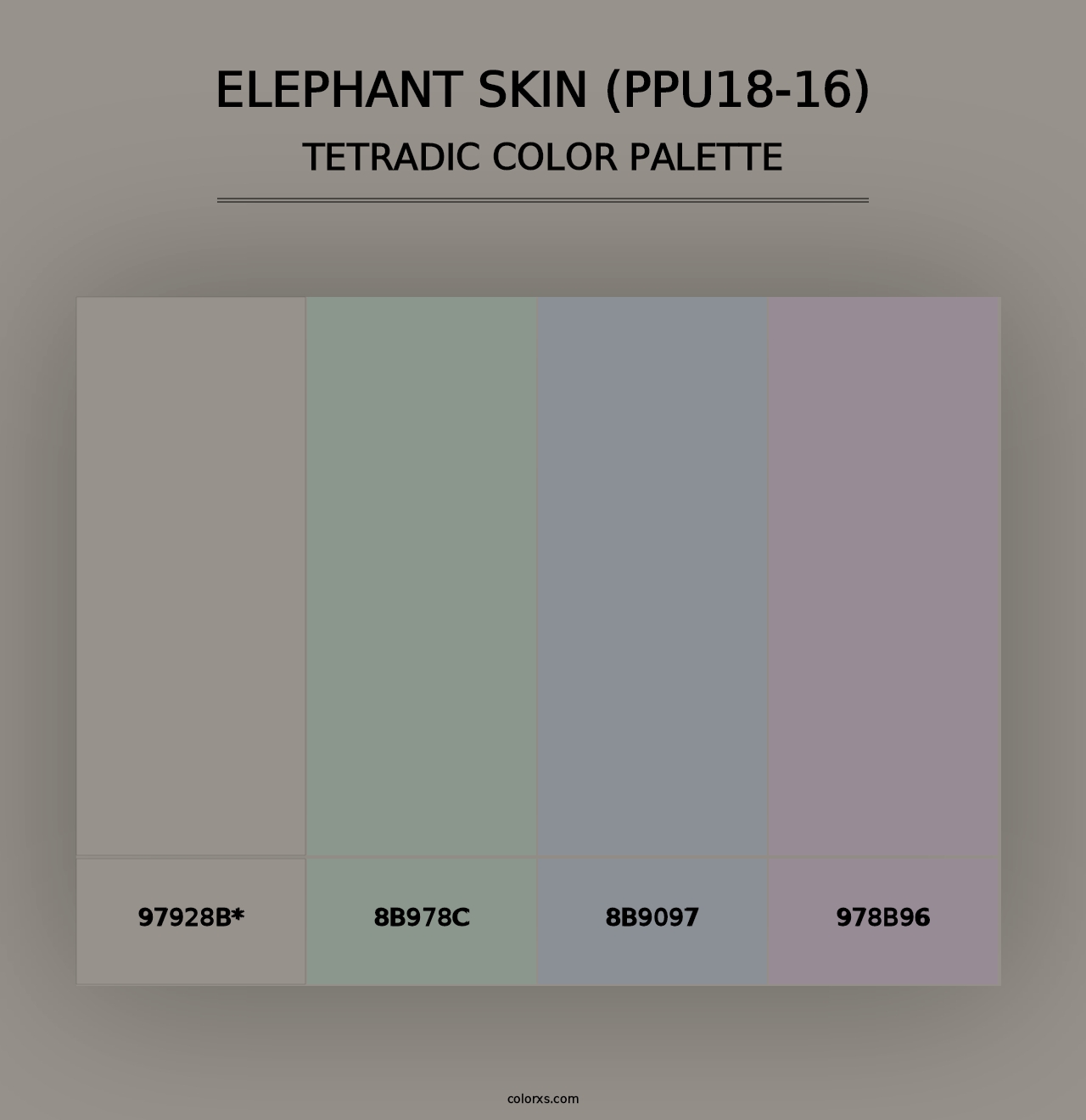 Elephant Skin (PPU18-16) - Tetradic Color Palette