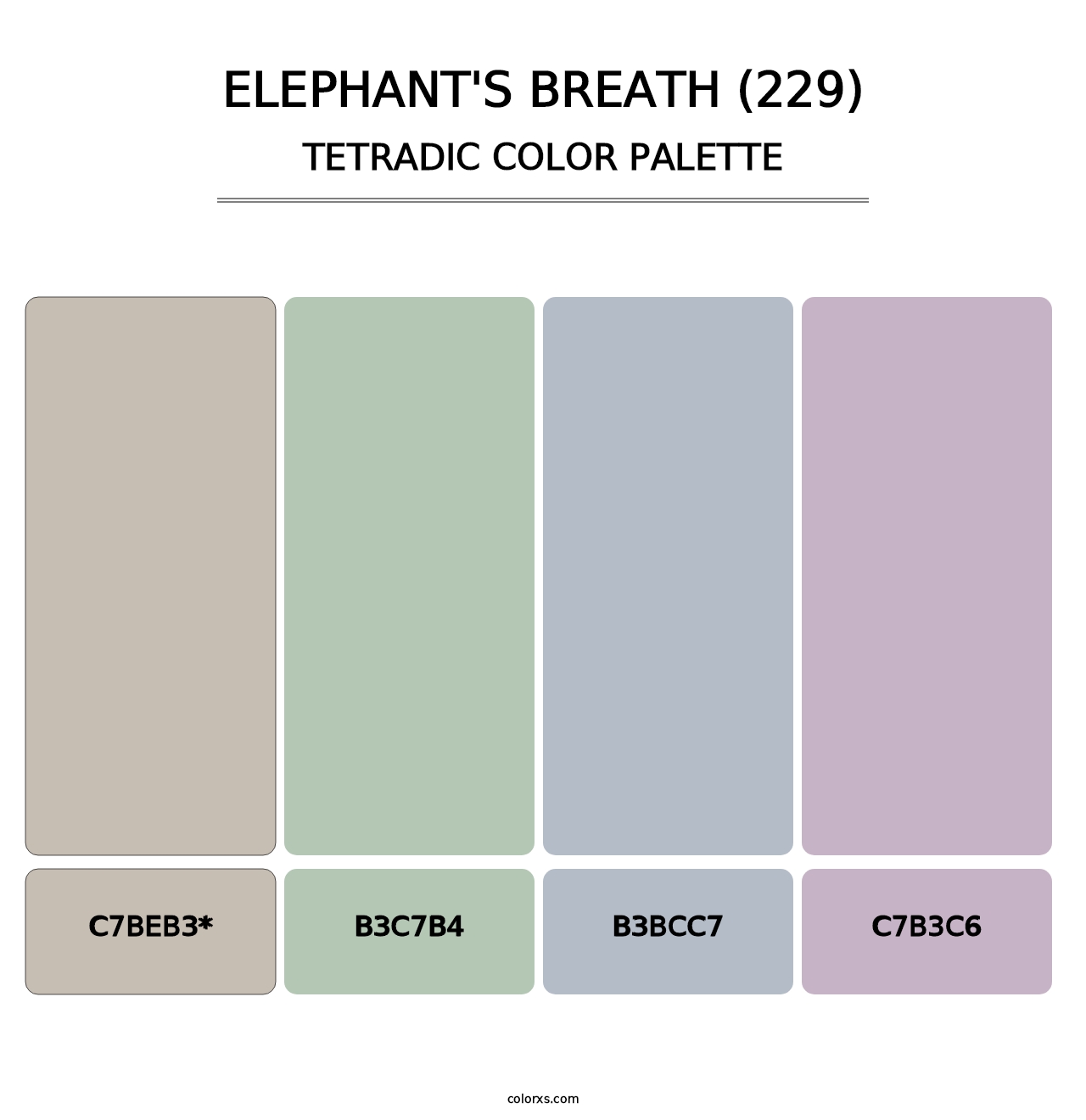 Elephant's Breath (229) - Tetradic Color Palette