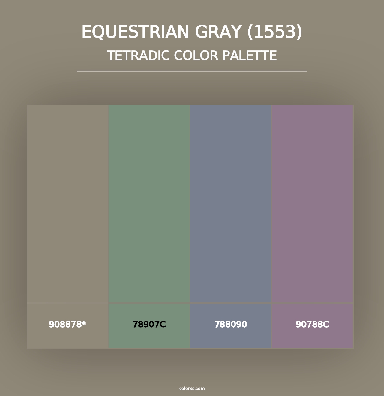 Equestrian Gray (1553) - Tetradic Color Palette