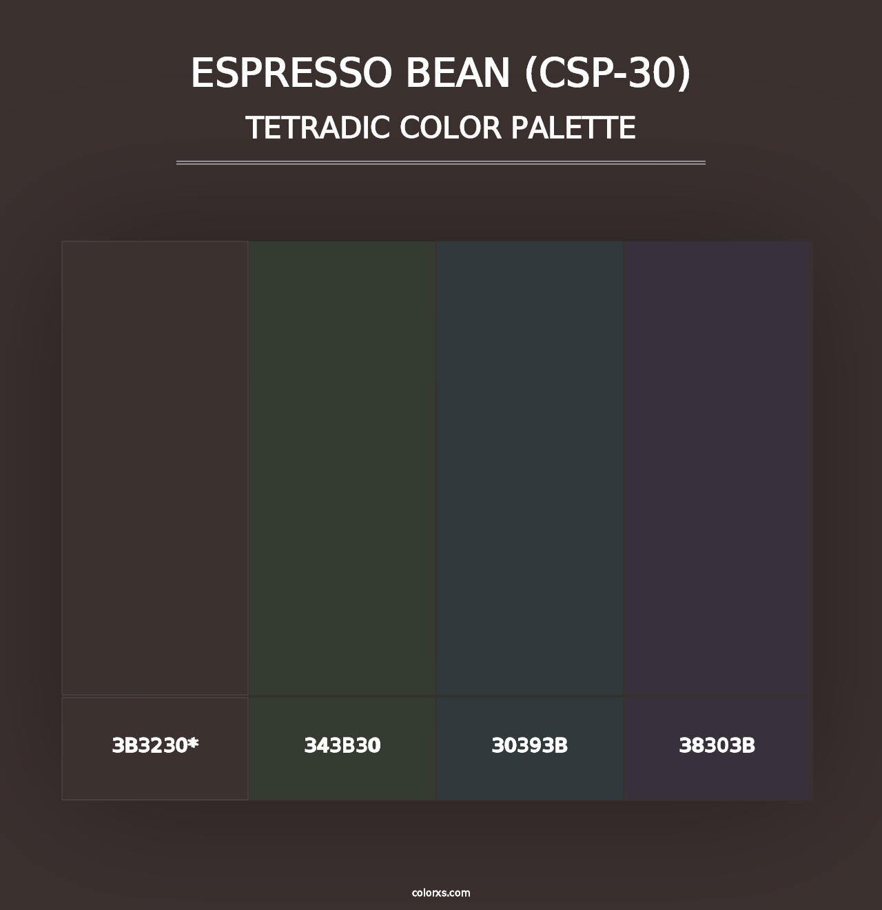 Espresso Bean (CSP-30) - Tetradic Color Palette