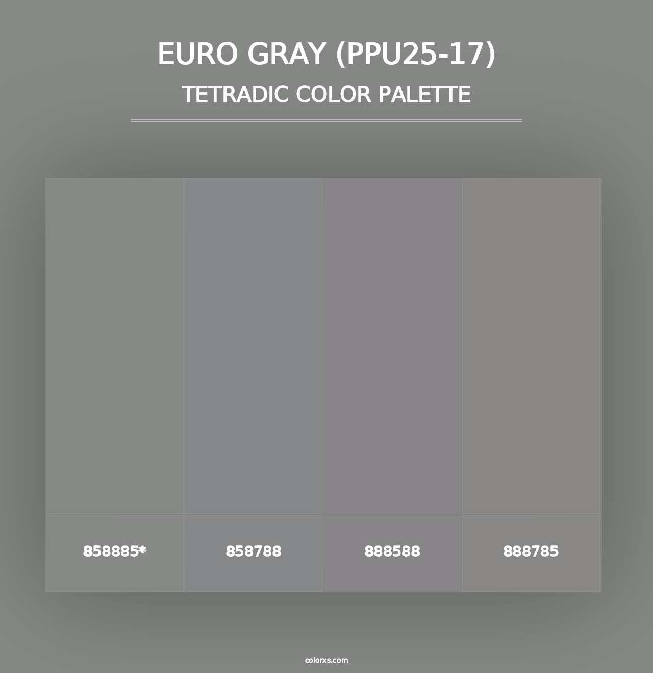 Euro Gray (PPU25-17) - Tetradic Color Palette