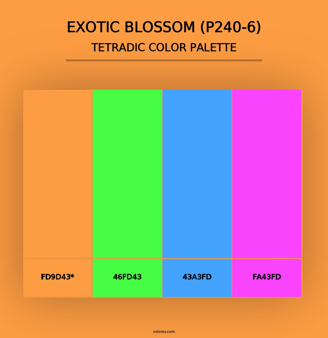 Exotic Blossom (P240-6) - Tetradic Color Palette