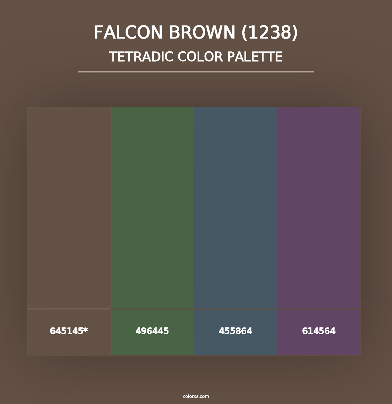 Falcon Brown (1238) - Tetradic Color Palette