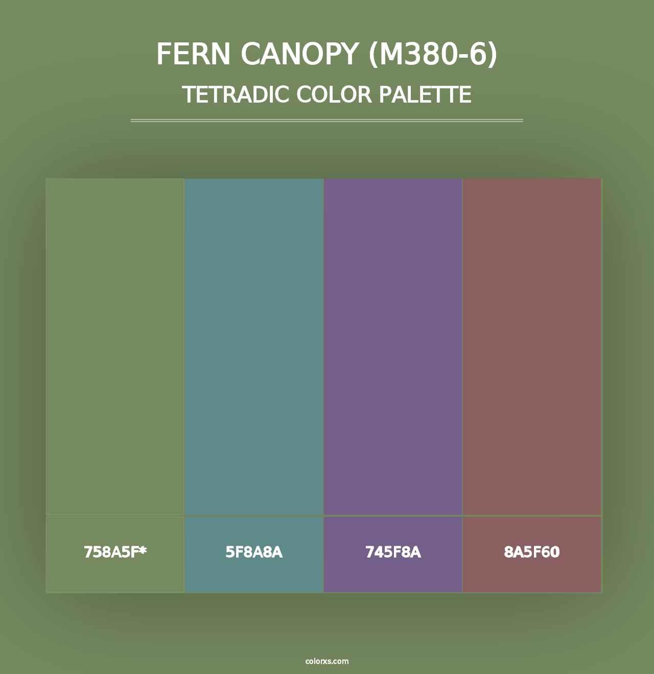 Fern Canopy (M380-6) - Tetradic Color Palette