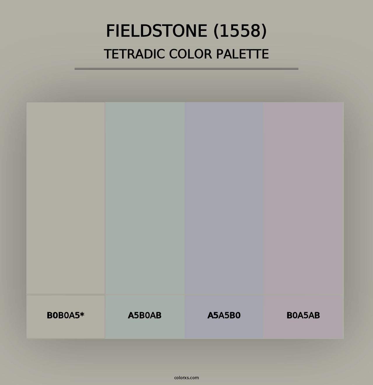 Fieldstone (1558) - Tetradic Color Palette