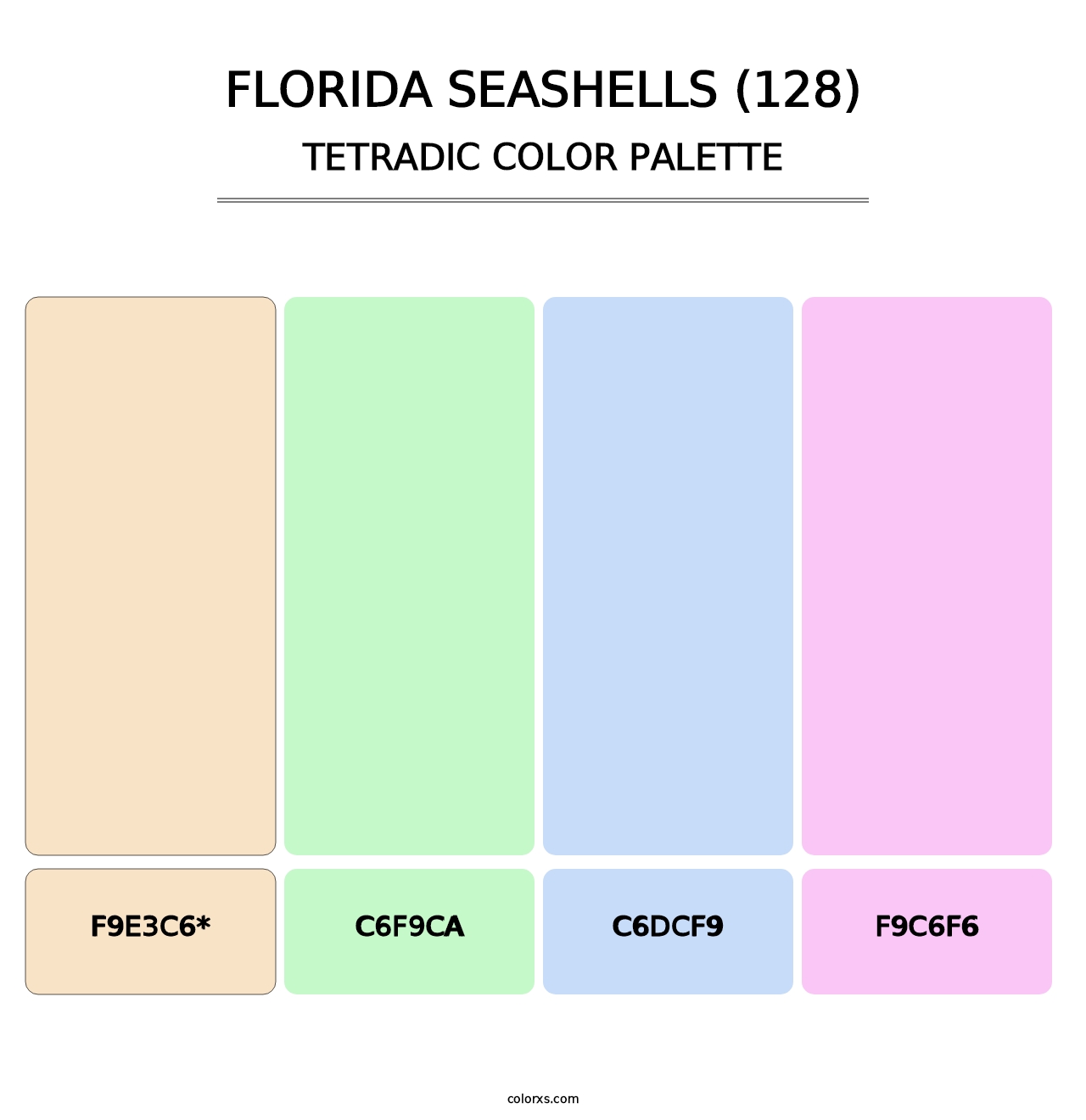 Florida Seashells (128) - Tetradic Color Palette