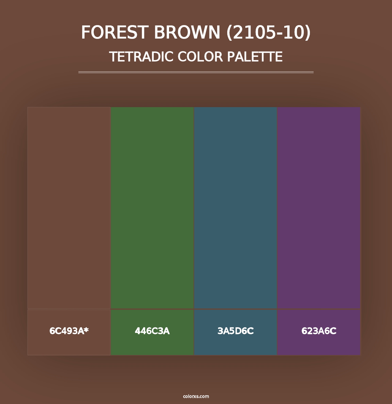 Forest Brown (2105-10) - Tetradic Color Palette