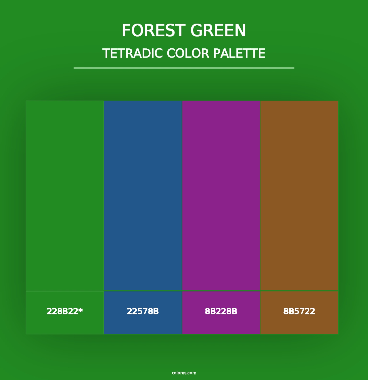 Forest green - Tetradic Color Palette