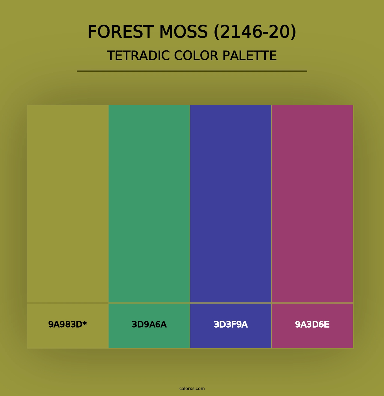 Forest Moss (2146-20) - Tetradic Color Palette