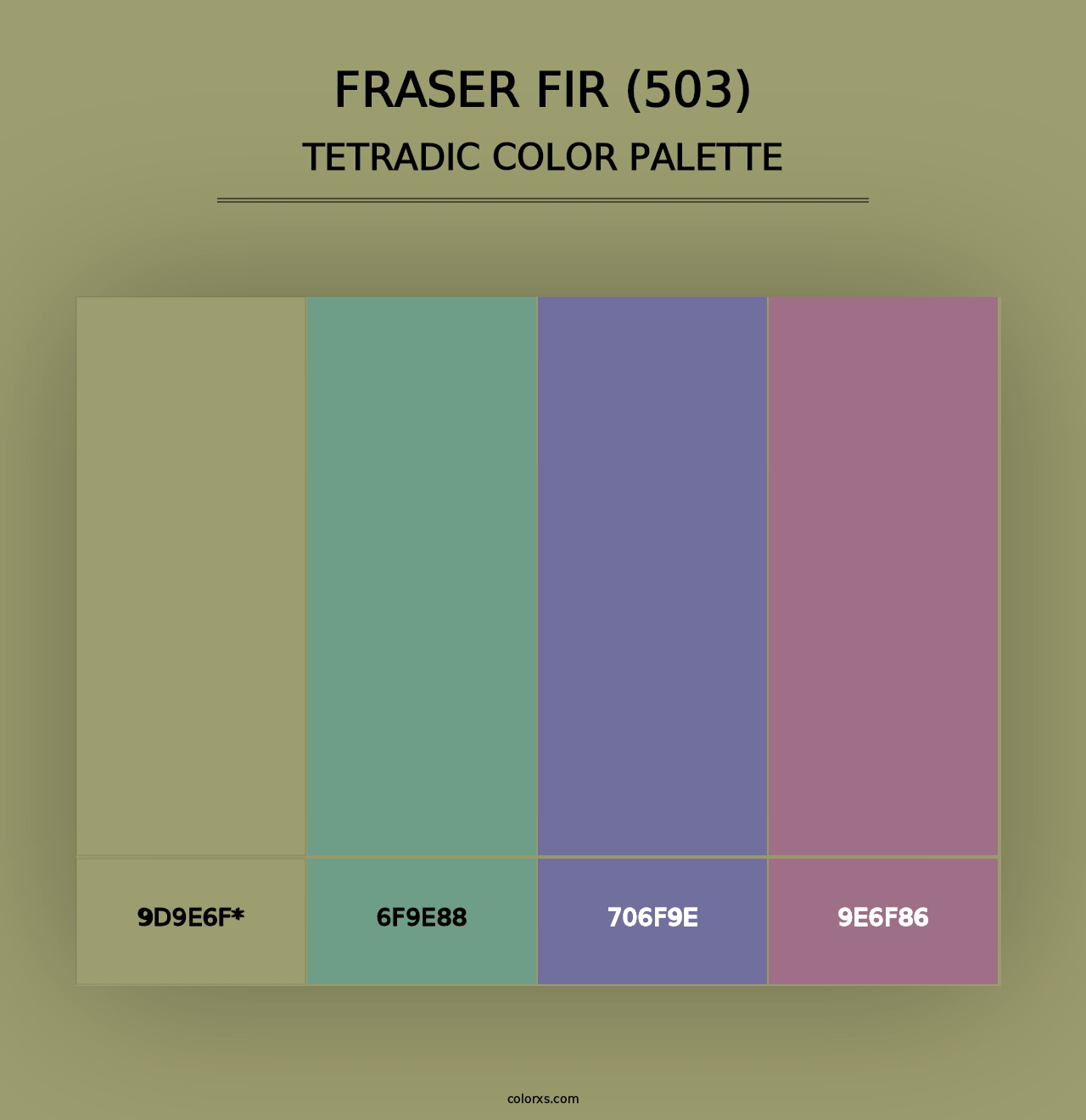 Fraser Fir (503) - Tetradic Color Palette