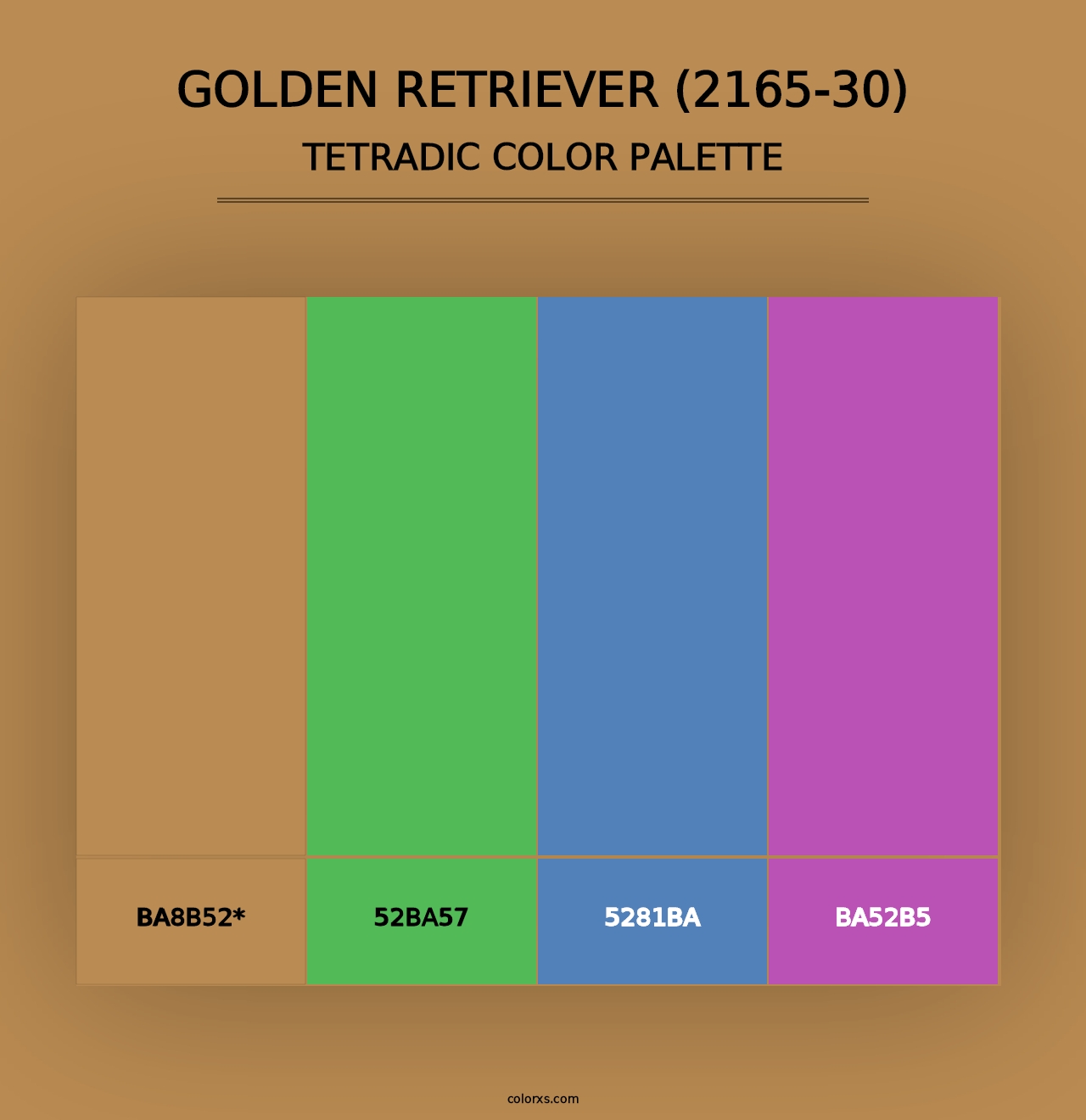 Golden Retriever (2165-30) - Tetradic Color Palette