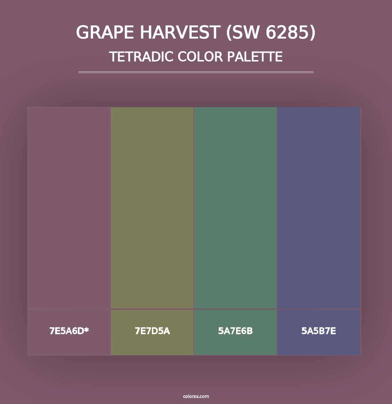 Grape Harvest (SW 6285) - Tetradic Color Palette