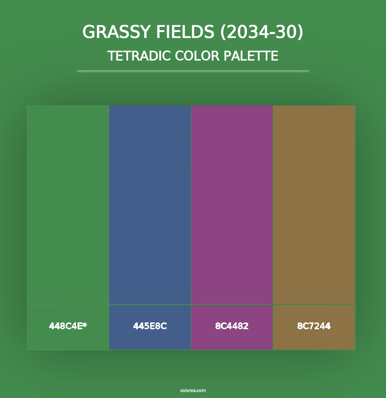 Grassy Fields (2034-30) - Tetradic Color Palette