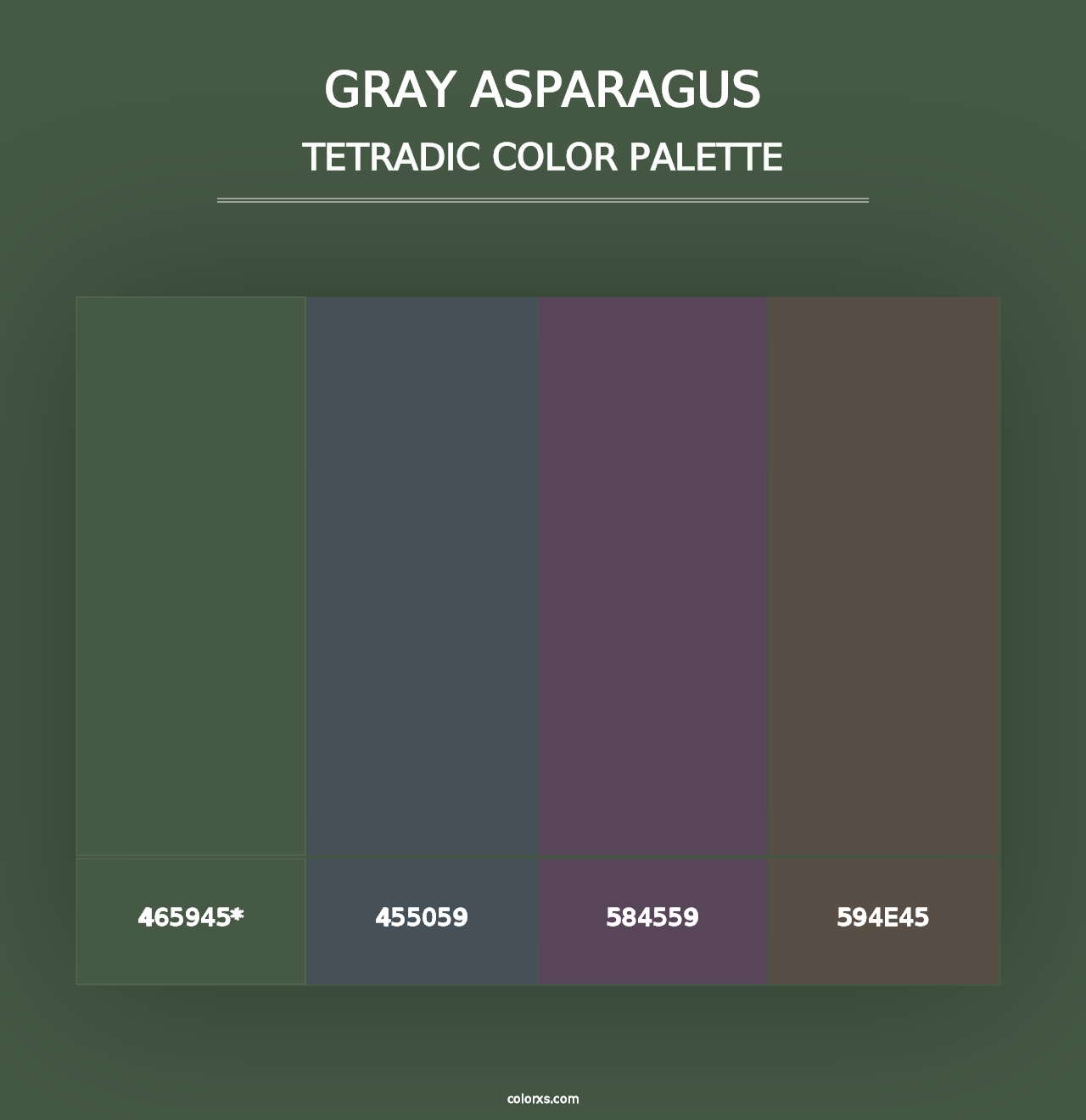 Gray Asparagus - Tetradic Color Palette