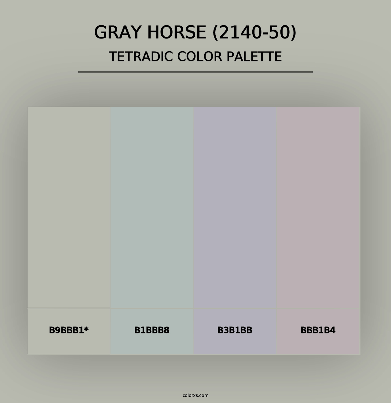 Gray Horse (2140-50) - Tetradic Color Palette