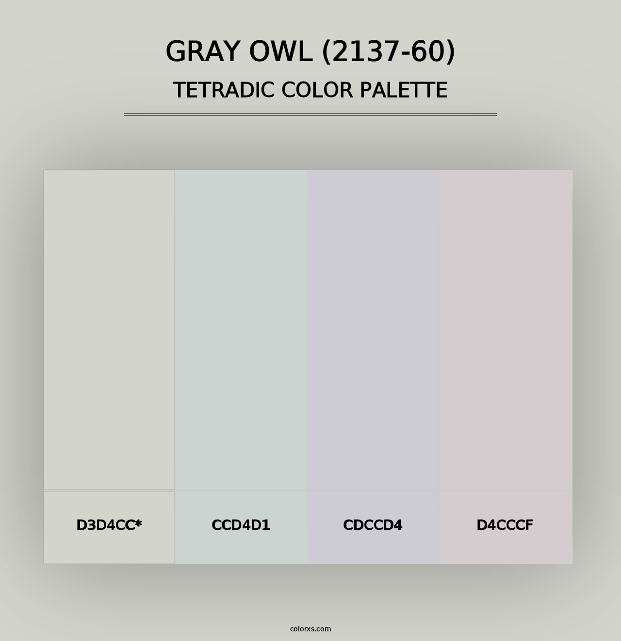 Gray Owl (2137-60) - Tetradic Color Palette