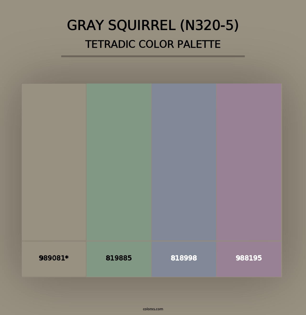 Gray Squirrel (N320-5) - Tetradic Color Palette