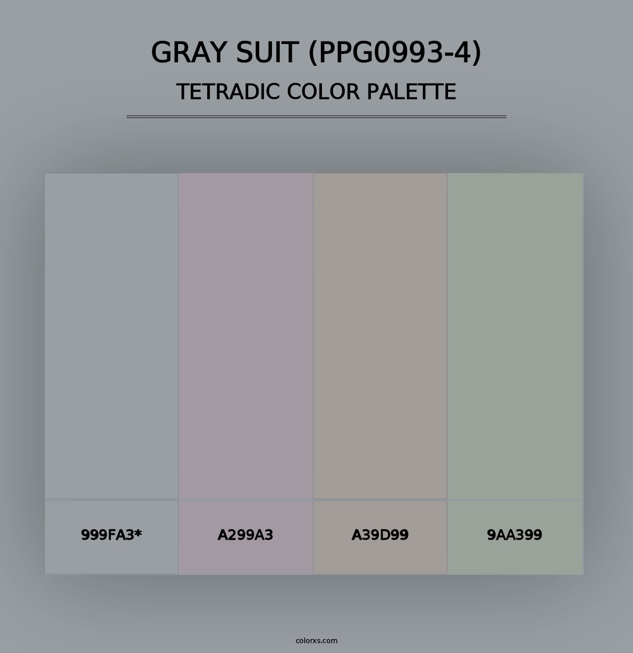 Gray Suit (PPG0993-4) - Tetradic Color Palette