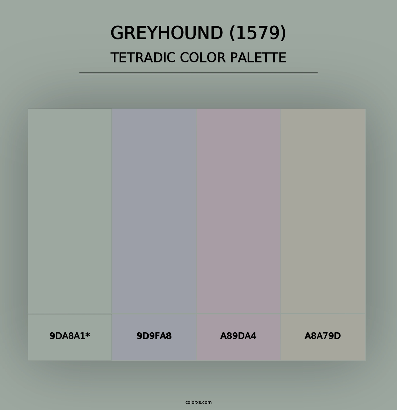 Greyhound (1579) - Tetradic Color Palette