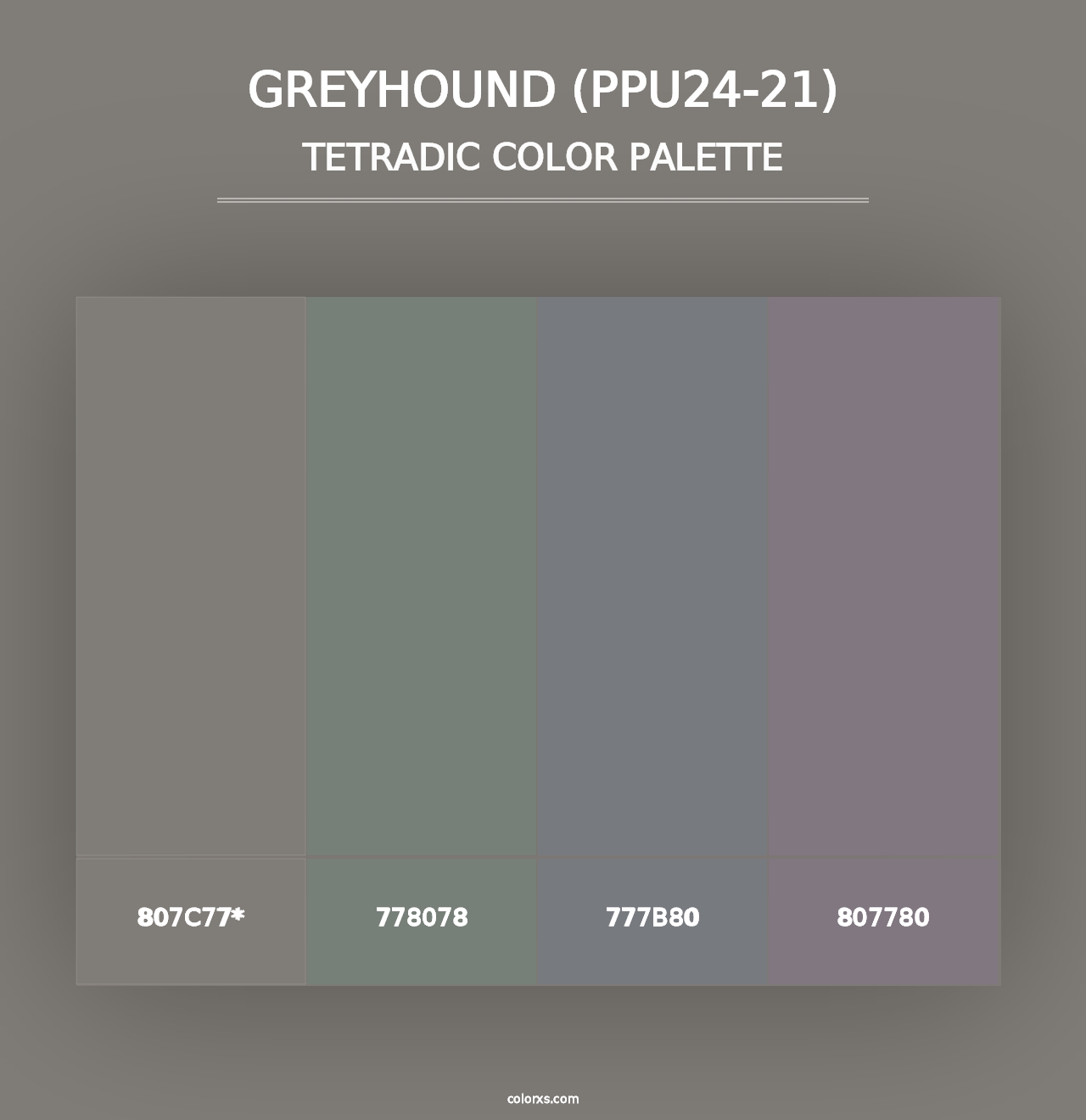 Greyhound (PPU24-21) - Tetradic Color Palette