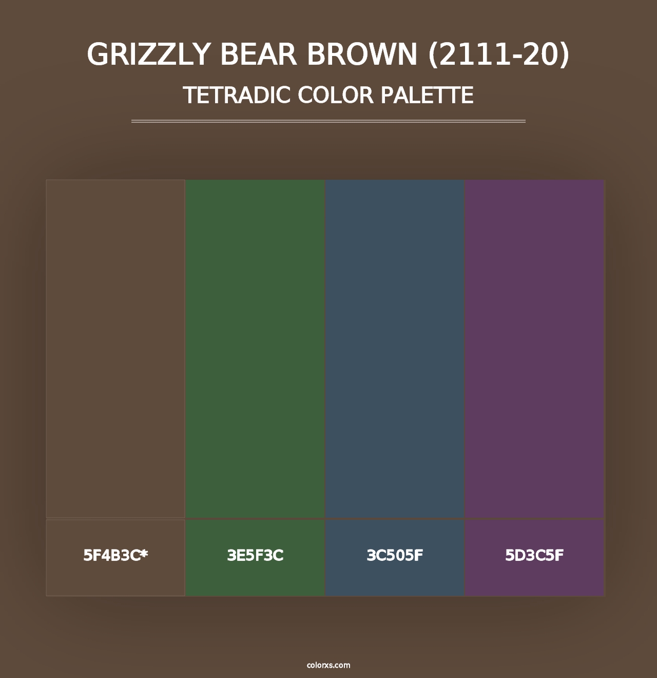 Grizzly Bear Brown (2111-20) - Tetradic Color Palette