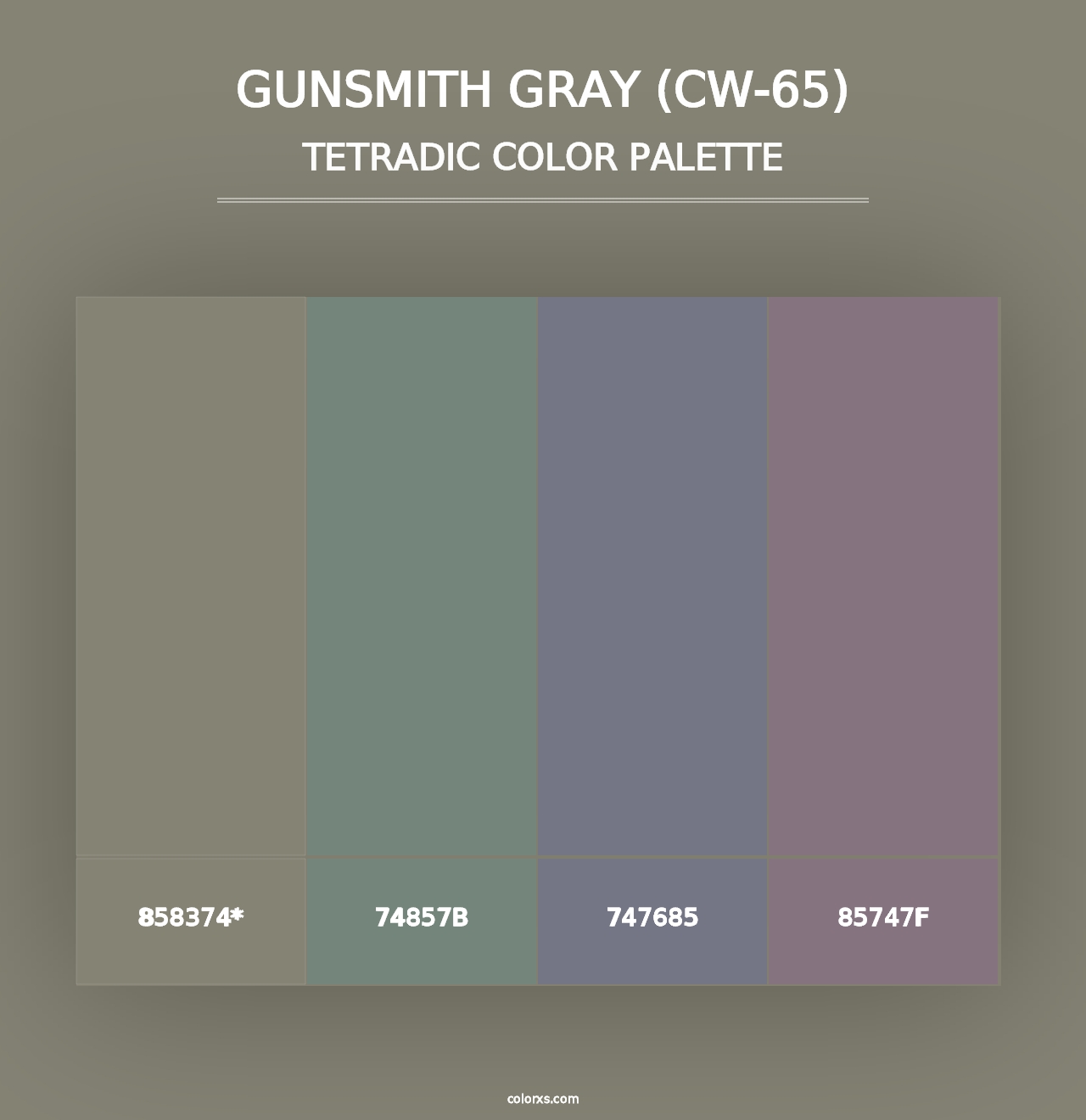 Gunsmith Gray (CW-65) - Tetradic Color Palette