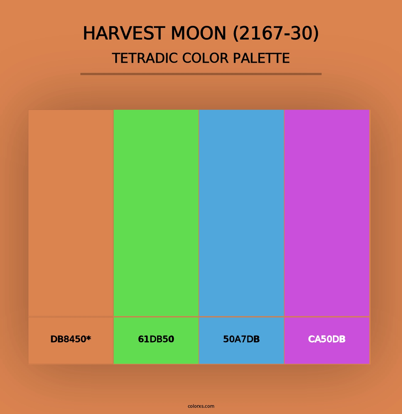 Harvest Moon (2167-30) - Tetradic Color Palette