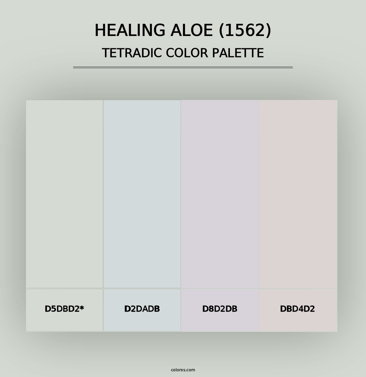 Healing Aloe (1562) - Tetradic Color Palette