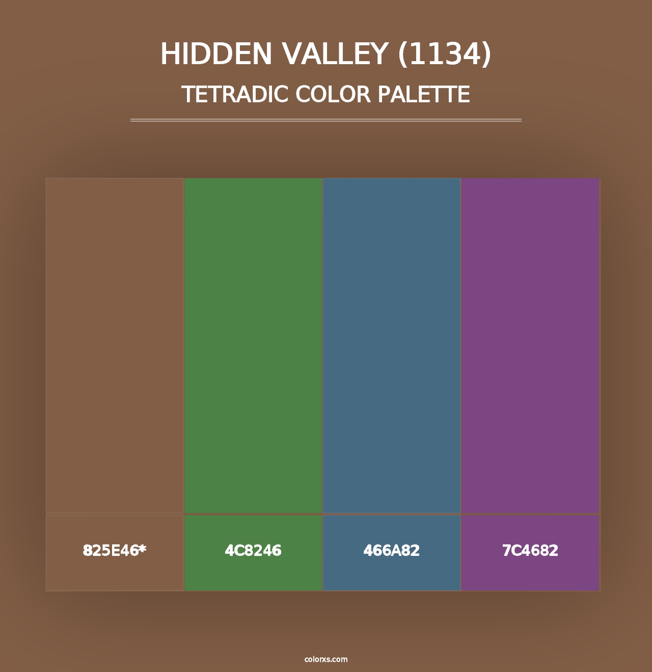 Hidden Valley (1134) - Tetradic Color Palette