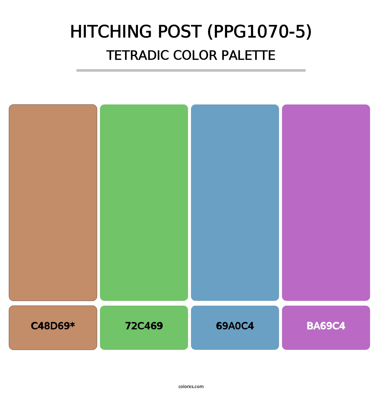 Hitching Post (PPG1070-5) - Tetradic Color Palette