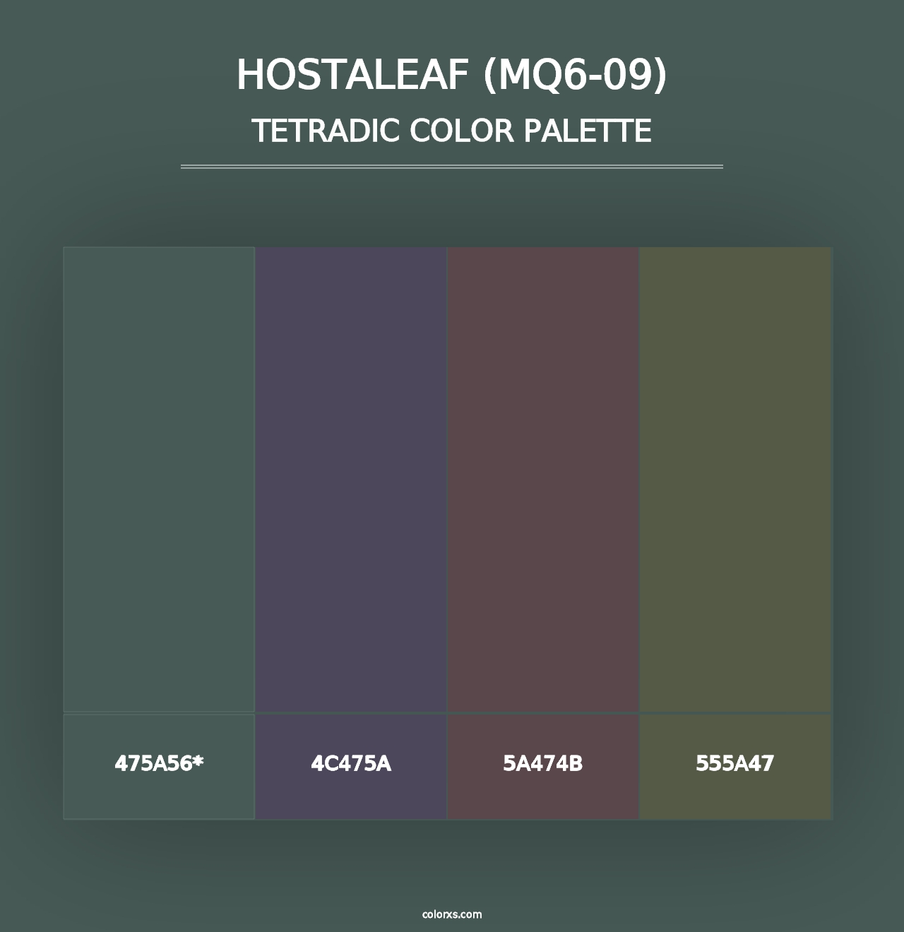 Hostaleaf (MQ6-09) - Tetradic Color Palette