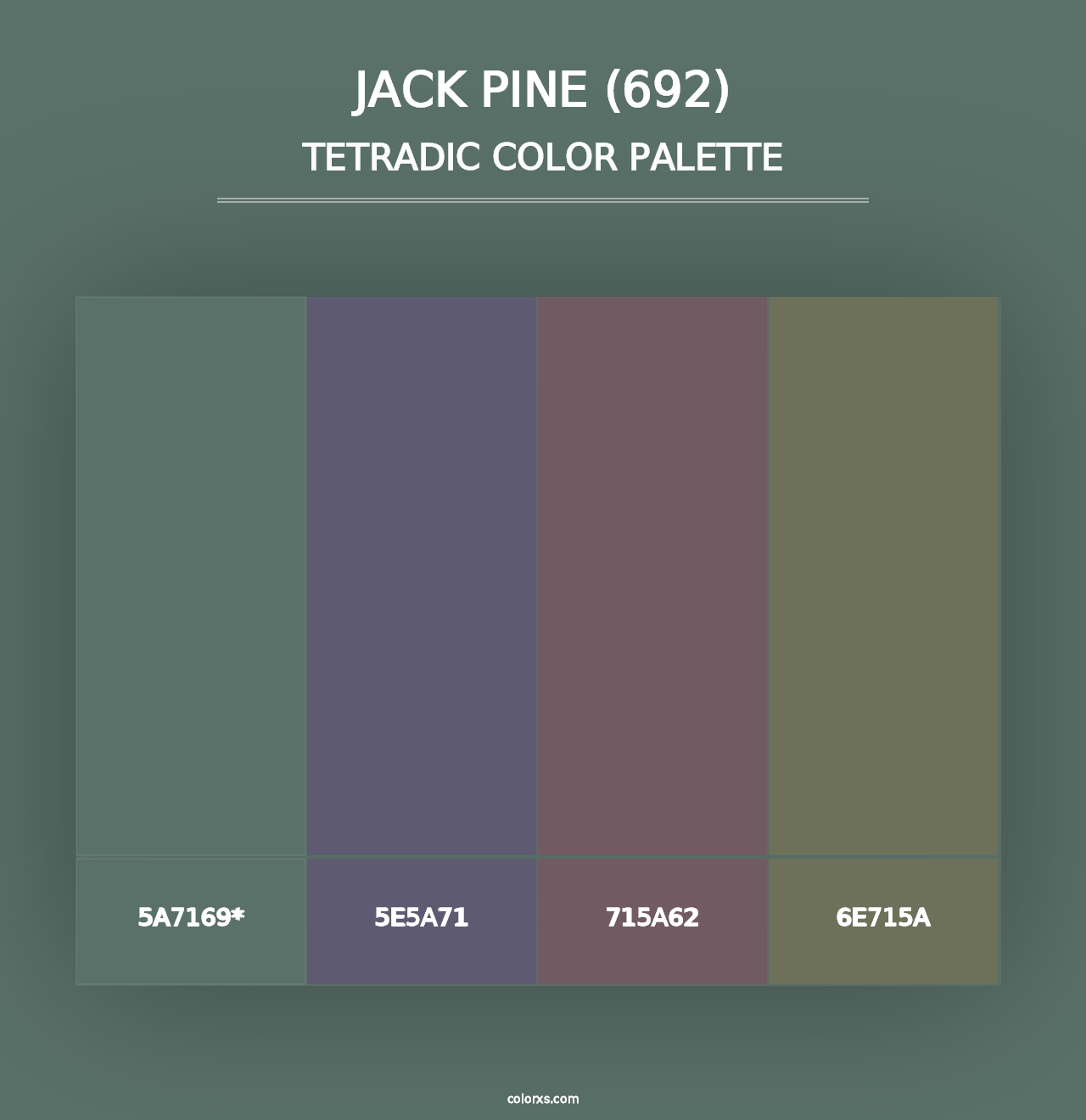 Jack Pine (692) - Tetradic Color Palette