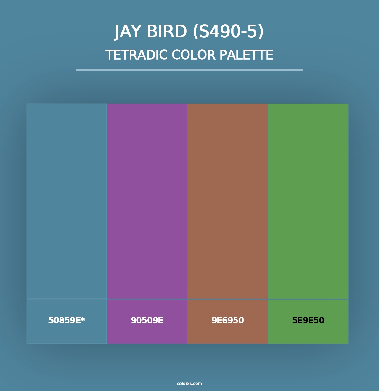 Jay Bird (S490-5) - Tetradic Color Palette