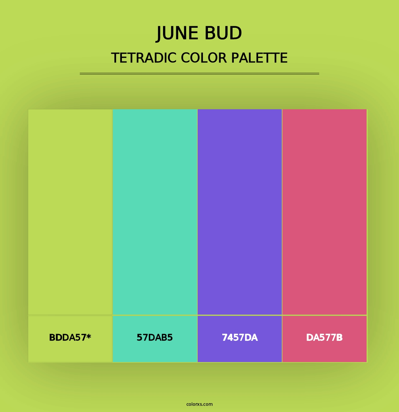 June Bud - Tetradic Color Palette