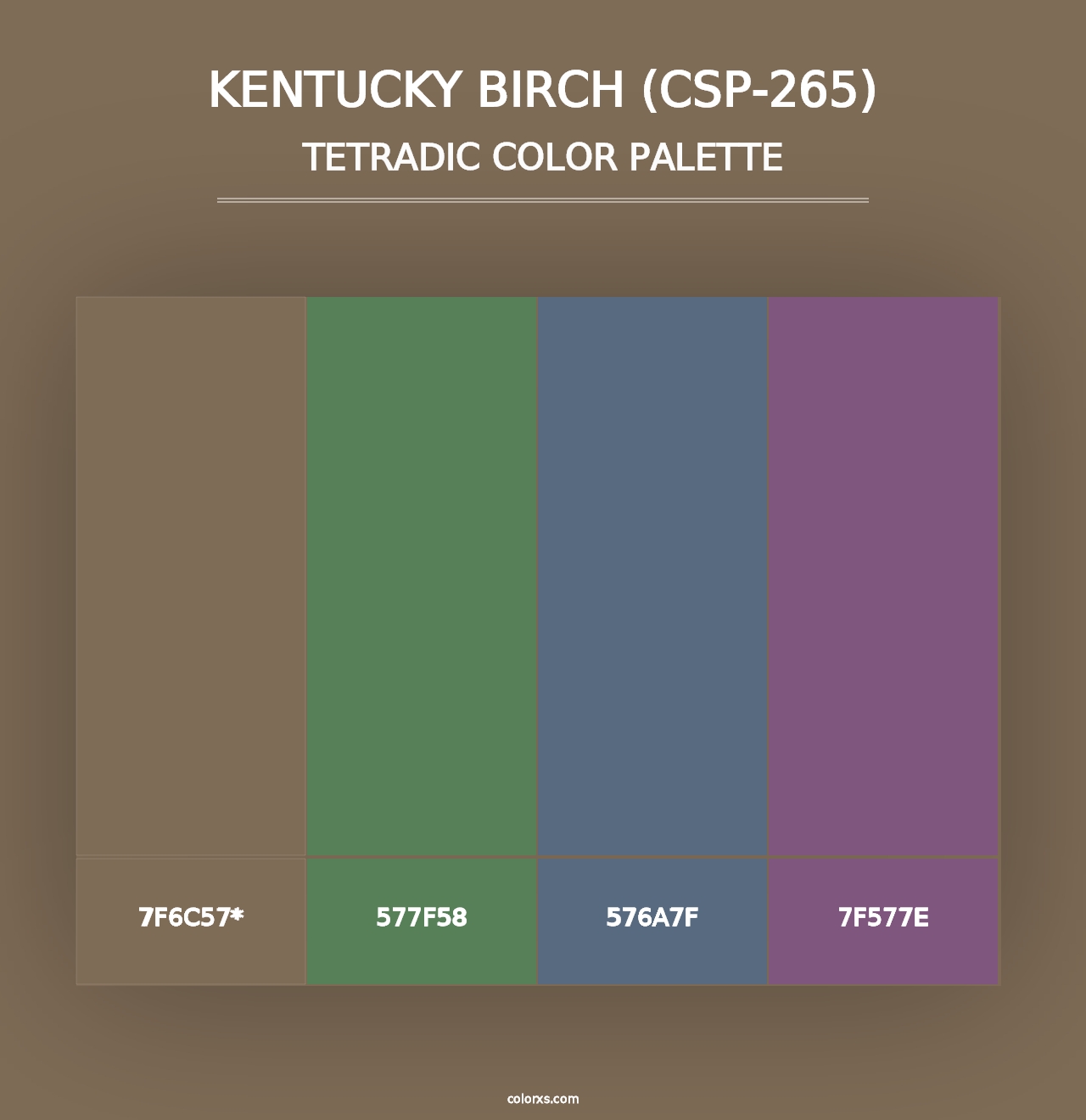 Kentucky Birch (CSP-265) - Tetradic Color Palette