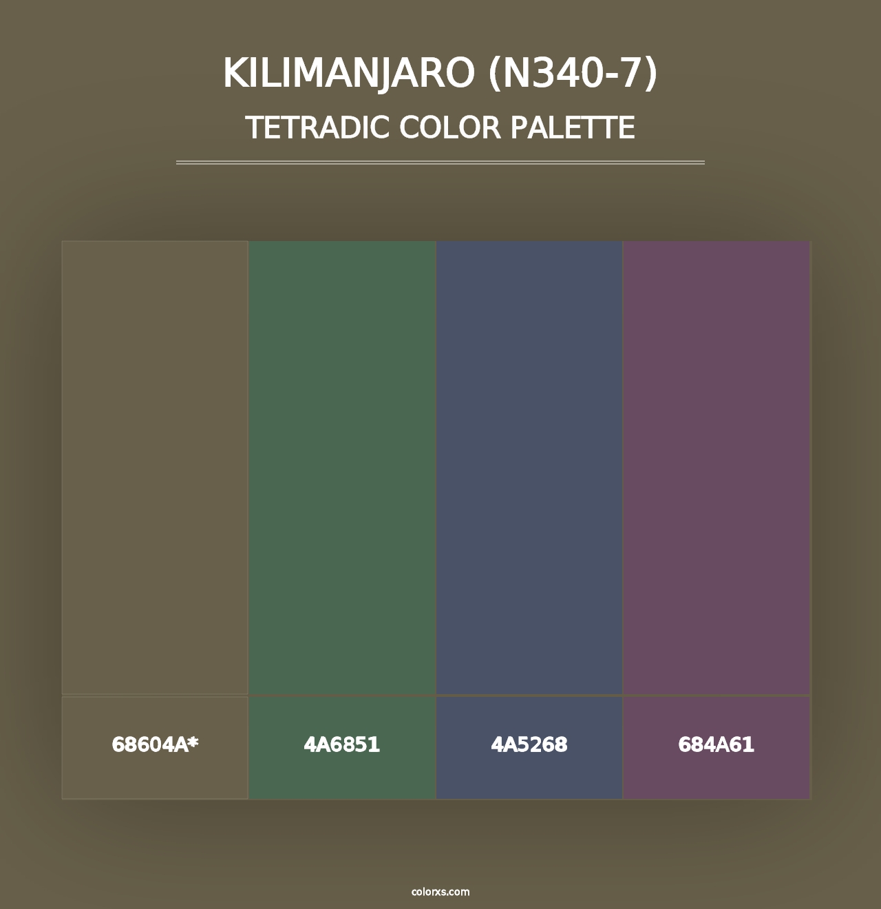 Kilimanjaro (N340-7) - Tetradic Color Palette