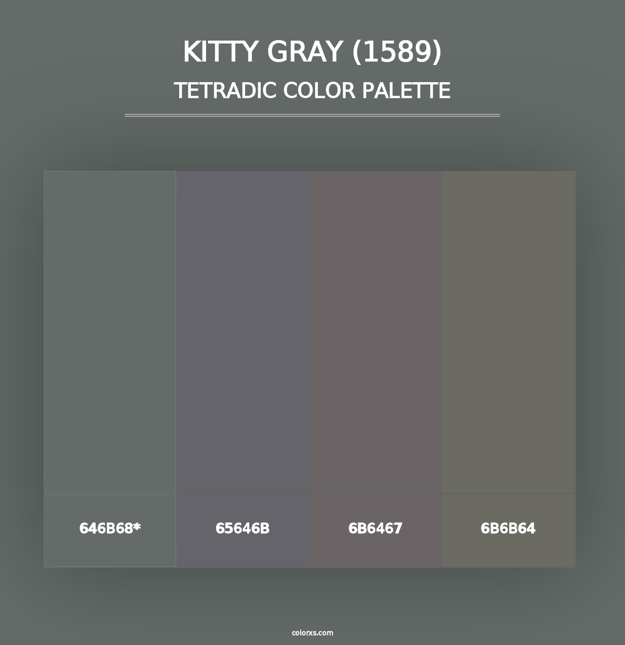 Kitty Gray (1589) - Tetradic Color Palette