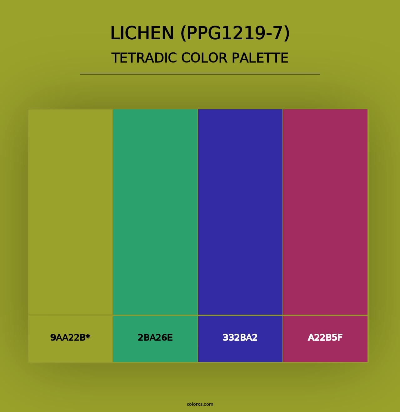 Lichen (PPG1219-7) - Tetradic Color Palette