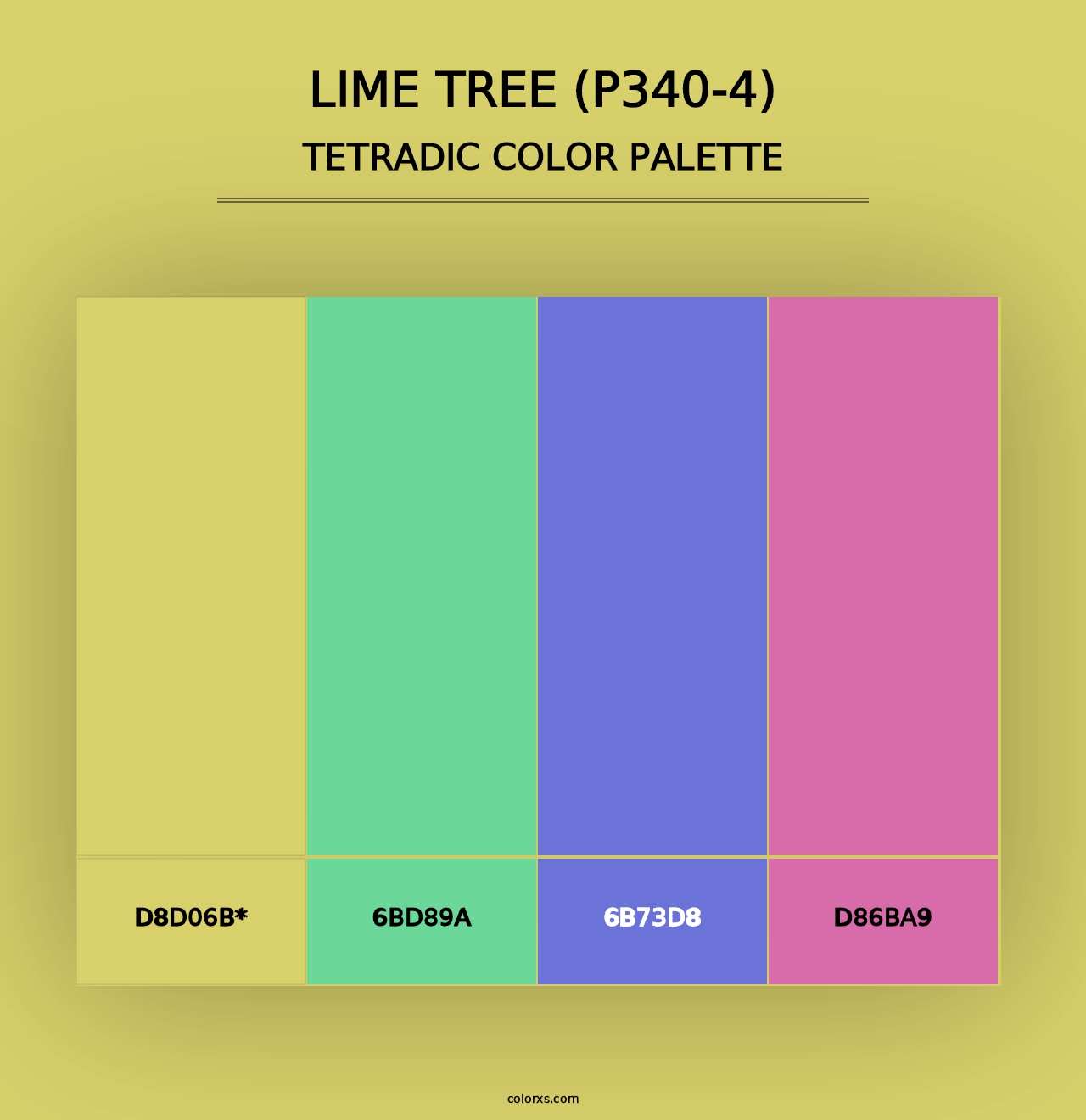 Lime Tree (P340-4) - Tetradic Color Palette